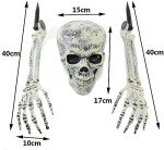 Zemolo 3Pcs Realistic Skeleton Decor Set