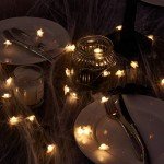 EAMBRITE Halloween Fairy Lights Set with 30 LEDs