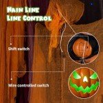 Spooky Pumpkin Scarecrow Halloween Yard Decor