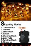 EAMBRITE Halloween Fairy Lights Set with 30 LEDs