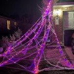 Giant 5m LED Halloween Spider Web Lights
