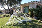 Giant Halloween Spider Decoration with Spider Webs