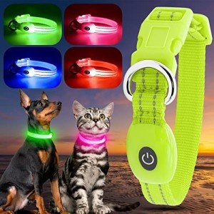YFbrite Rechargeable LED Safety Collar – Green