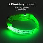 YFbrite Rechargeable LED Safety Collar – Green