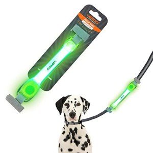 LED Light-Up Dog Collar with Waterproof Accessories