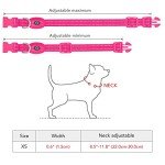 USB Rechargeable LED Pet Collar - Pink