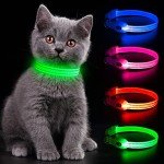 YFbrite Rechargeable LED Safety Collar – Green