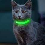 YFbrite Rechargeable LED Safety Collar – Green