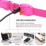 USB Rechargeable LED Pet Collar - Pink