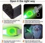 LED Light-Up Dog Collar with Waterproof Accessories
