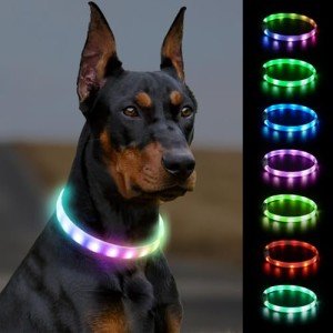 Joytale Rechargeable LED Dog Collar with 9 Modes