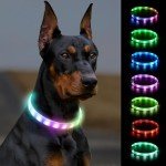Joytale Rechargeable LED Dog Collar with 9 Modes