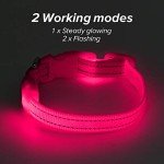 USB Rechargeable LED Pet Collar - Pink