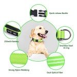 LED Flashing Dog Collar - Waterproof & Rechargeable