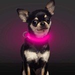 USB Rechargeable LED Pet Collar - Pink