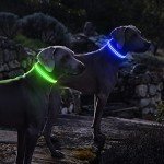 LED Flashing Dog Collar - Waterproof & Rechargeable