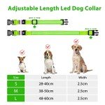 LED Flashing Dog Collar - Waterproof & Rechargeable