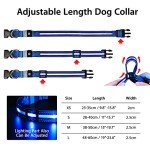 LED Waterproof Dog Collar with 3 Glowing Modes
