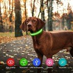 LED Flashing Dog Collar - Waterproof & Rechargeable