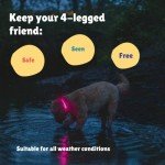 LED Dog Collar - Rechargeable, Waterproof, Red, Small