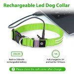 LED Flashing Dog Collar - Waterproof & Rechargeable