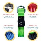 LED Dog Collar - Rechargeable, Waterproof, Red, Small