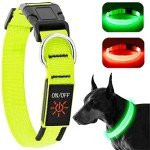 KOSKILL LED Light-Up Dog Collar, Rechargeable & Waterproof