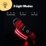 LED Dog Collar - Rechargeable, Waterproof, Red, Small