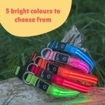 LED Dog Collar - Rechargeable, Waterproof, Red, Small