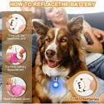 3-Pack LED Dog Collar Lights with 3 Modes