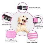 Rechargeable LED Dog Collar - Waterproof & Bright