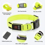 KOSKILL LED Light-Up Dog Collar, Rechargeable & Waterproof