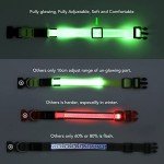KOSKILL LED Light-Up Dog Collar, Rechargeable & Waterproof