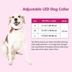 Rechargeable LED Dog Collar - Waterproof & Bright