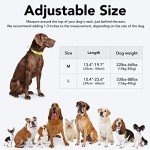 KOSKILL LED Light-Up Dog Collar, Rechargeable & Waterproof
