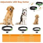 USB Rechargeable LED Dog Collar with 3 Modes