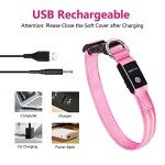 Rechargeable LED Dog Collar - Waterproof & Bright