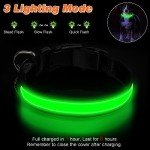 USB Rechargeable LED Dog Collar with 3 Modes