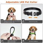 USB Rechargeable LED Dog Collar with 3 Modes
