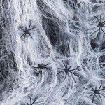 Stretchable Halloween Spider Web for Party Decor