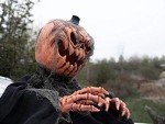Animated Halloween Pumpkin Monster with Light & Sound