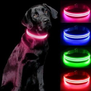 Rechargeable LED Dog Collar - Waterproof & Bright