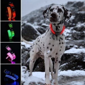 LED Dog Collar - Rechargeable, Waterproof, Red, Small