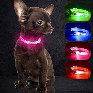 USB Rechargeable LED Pet Collar - Pink