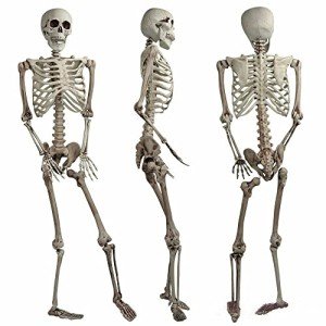 Life-Size Poseable Skeleton Halloween Party Decor
