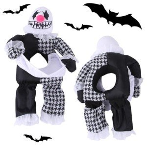 Funny Halloween Costume for Medium Dogs