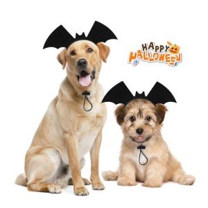 Halloween Bat Wing Headband for Dogs