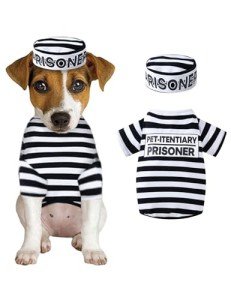 Prisoner Costume for Dogs and Cats - Halloween Fun