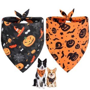 Halloween Dog Bandana Set - Witch & Pumpkin Design