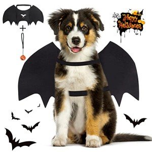 Adjustable Black Bat Wings Costume for Dogs